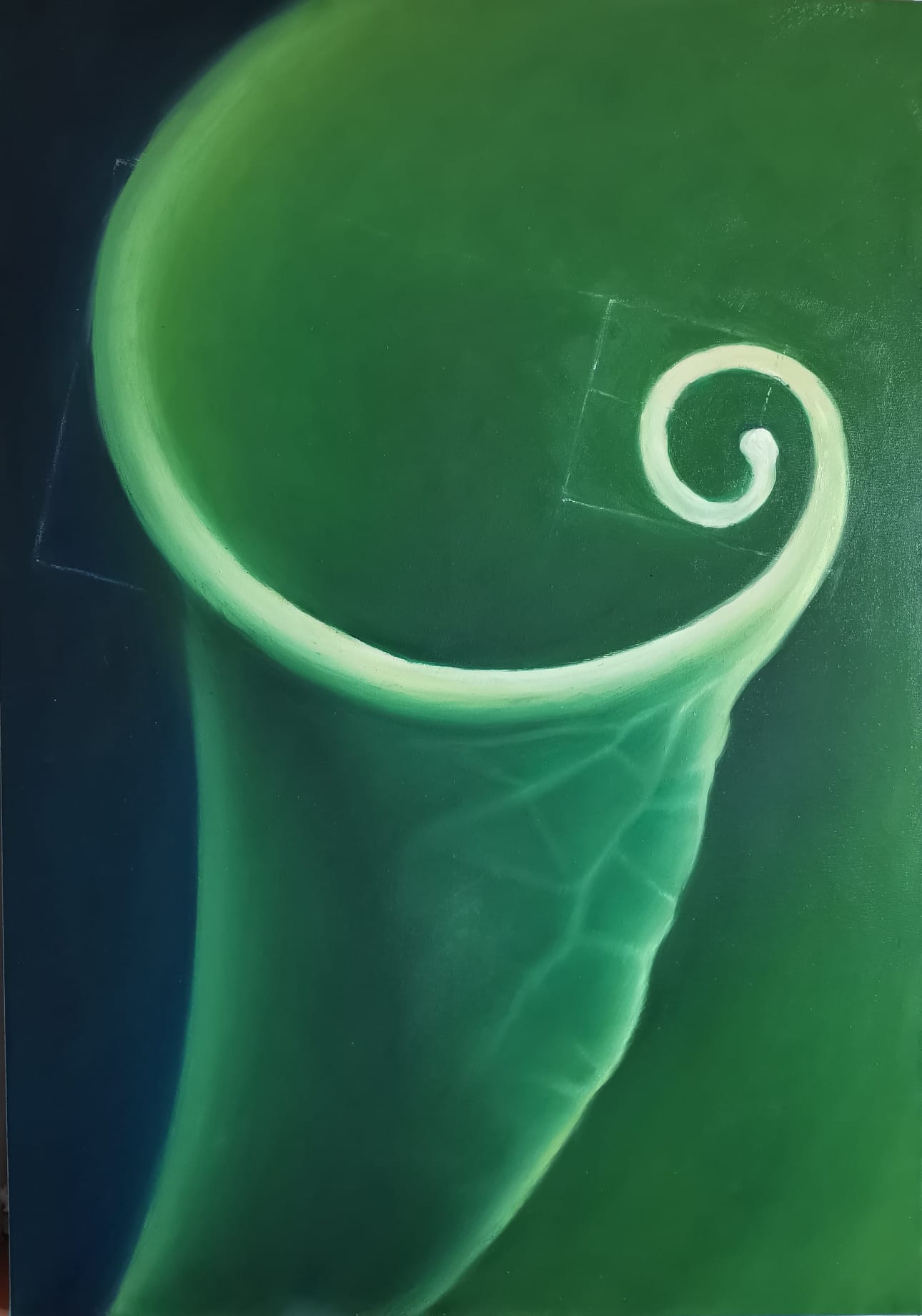 Spira Mirabilis